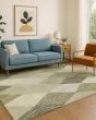 The Reserve TR11 Fern Area Rug