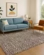The Reserve TR12 Brown Area Rug