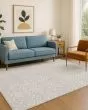 The Reserve TR12 Silver Area Rug
