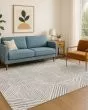 The Reserve TR14 Gray Area Rug