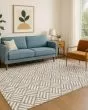 The Reserve TR3 Taupe Area Rug