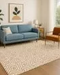 The Reserve TR5 Copper Area Rug