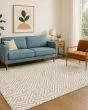 The Reserve TR5 Flax Area Rug