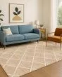 The Reserve TR9 Copper Area Rug