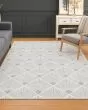 The Reserve TR9 Silver Area Rug