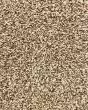 Tonal 42 Soliture Polyester 42oz Carpet