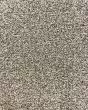 Tonal 42 Textured 42oz Carpet
