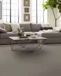 Tonal Comfort I Textured 43oz Nylon Carpet