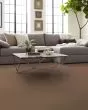 Tonal Comfort II Textured 53oz Nylon Carpet