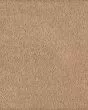 Tranquil Bliss Kashmere Nylon Carpet
