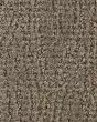 Trendy Charm Ancestral Carpet