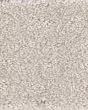 Trendy Nylon 34oz Carpet