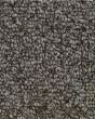 True Amazement EverStrand Carpet