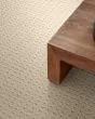 Truly Delightful Patterned Nylon Carpet