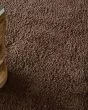 Tula 8A98F Brown Area Rug