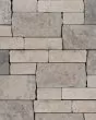 Tumbled Ledgers Mixed Beige and Grey Natural Stone 8"x22" Limestone Ledger Tile