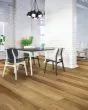 COREtec Plus Premium 9"x72" Virtue Oak Luxury Vinyl