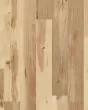COREtec Pro Plus XL 7"x72" Havanna Hickory Luxury Vinyl