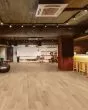 COREtec Pro Plus XL Enhanced Cairo Oak Luxury Vinyl