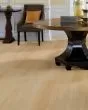Anvil Plus 20 Mil River Bend Oak Luxury Vinyl