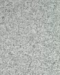 Valle Nevado Granite Countertop