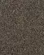 Value 42 Spice Brown Textured Everstrand 42oz Carpet