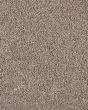 Value 60 Shoreline Textured Everstrand 57oz Carpet