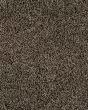 Value 60 Spice Brown Textured Everstrand 57oz Carpet
