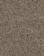Value 60 Tuscan Tan Textured Everstrand 57oz Carpet
