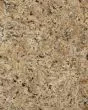 Venetian Gold Granite Countertop