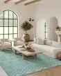 Versatile NRV01 Aqua Teal Area Rug