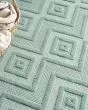 Versatile NRV01 Aqua Teal Area Rug