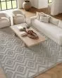 Versatile NRV01 Silver Grey Area Rug