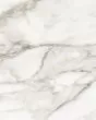 Vienna Calacatta Paonazzo Porcelain Tile