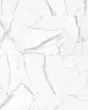 Vienna Statuario Nuovo Marble Porcelain Tile