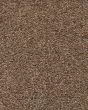 Vivid Awakening Textured SmartStrand Carpet