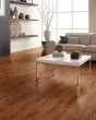 COREtec Plus 5"x48" Gold Coast Acacia Luxury Vinyl