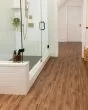 COREtec Plus 5"x48" Gold Coast Acacia Luxury Vinyl