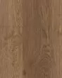 COREtec Plus XL Enhanced Arvon Oak Luxury Vinyl