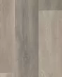 COREtec Plus Premium 9"x72" Leisure Oak Luxury Vinyl