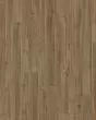 COREtec Plus Premium 9"x72" Treasure Pine Luxury Vinyl