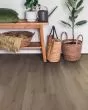 COREtec Originals Enhanced Southmere Oak Luxury Vinyl
