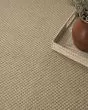 Washable Jute WSJ03 Natural Area Rug
