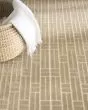 Washable Charm WCH02 Beige Ivory Area Rug