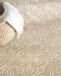 Washable Charm WCH03 Beige Ivory Area Rug