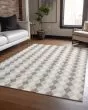 Wonderland WN20 Beige Area Rug