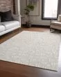 Wonderland WN22 Beige Area Rug