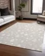 Wonderland WN23 Beige Area Rug