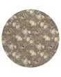 Wonderland WN36 Taupe Area Rug