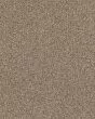 Yes You Can I Textured 43oz Carpet